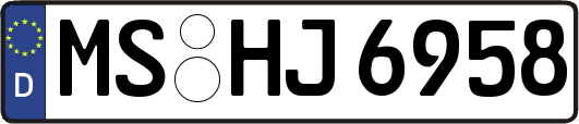 MS-HJ6958