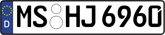 MS-HJ6960