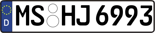 MS-HJ6993