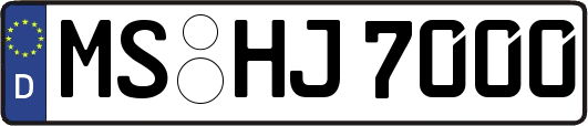 MS-HJ7000