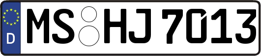 MS-HJ7013