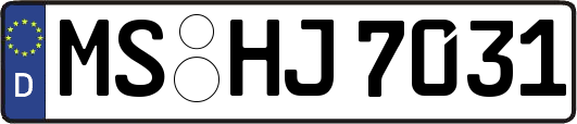 MS-HJ7031