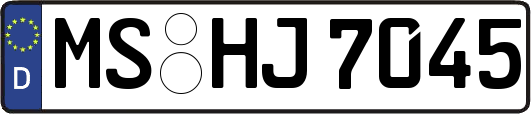 MS-HJ7045