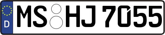 MS-HJ7055