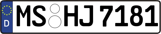 MS-HJ7181