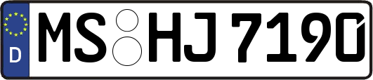 MS-HJ7190