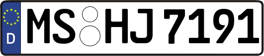 MS-HJ7191