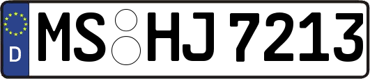 MS-HJ7213