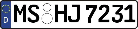 MS-HJ7231