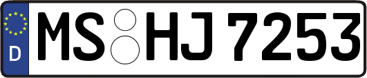 MS-HJ7253