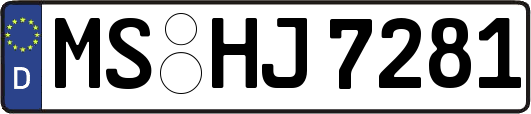 MS-HJ7281