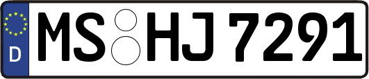 MS-HJ7291