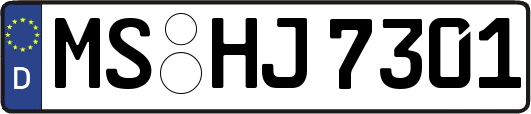 MS-HJ7301
