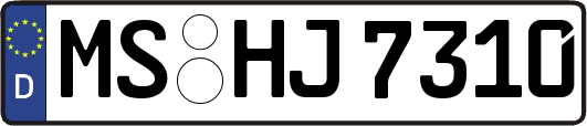 MS-HJ7310