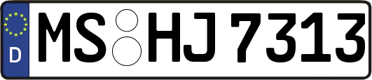 MS-HJ7313