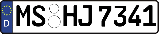 MS-HJ7341