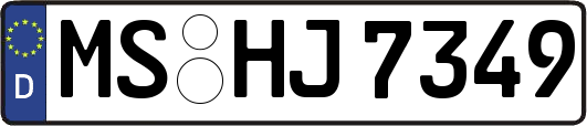 MS-HJ7349