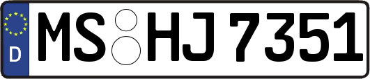 MS-HJ7351
