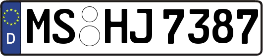 MS-HJ7387