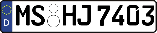 MS-HJ7403