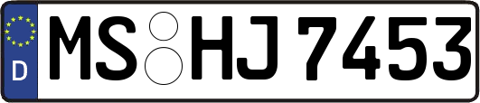 MS-HJ7453