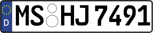 MS-HJ7491