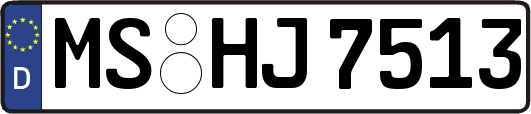 MS-HJ7513
