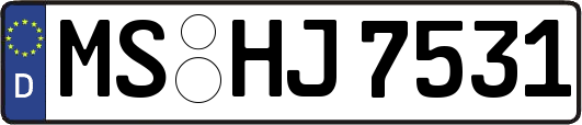 MS-HJ7531