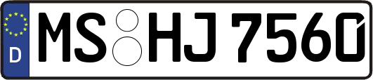 MS-HJ7560