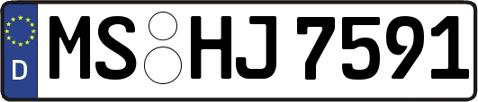 MS-HJ7591