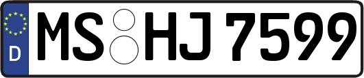 MS-HJ7599