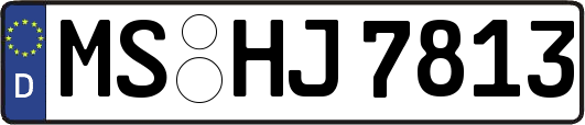 MS-HJ7813