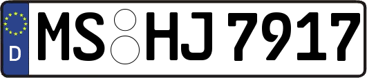 MS-HJ7917