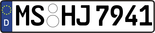 MS-HJ7941