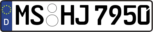 MS-HJ7950