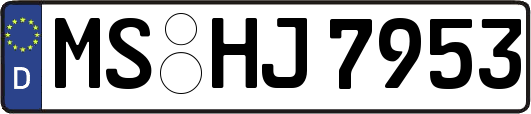 MS-HJ7953