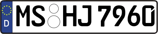MS-HJ7960