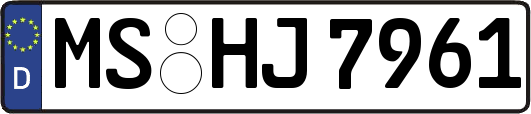 MS-HJ7961