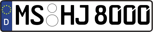 MS-HJ8000