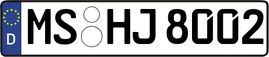 MS-HJ8002