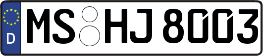 MS-HJ8003