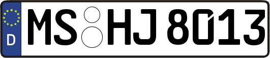 MS-HJ8013