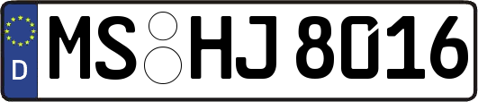 MS-HJ8016