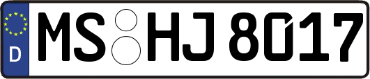 MS-HJ8017