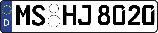 MS-HJ8020