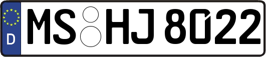 MS-HJ8022