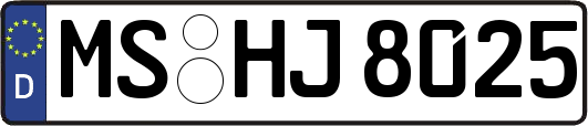 MS-HJ8025