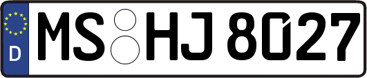 MS-HJ8027