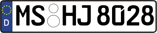 MS-HJ8028