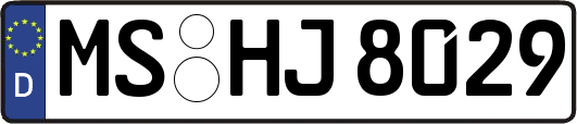 MS-HJ8029